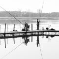 The Evolution of Fishing Lures: From Vintage Wooden Plugs to Modern Designs