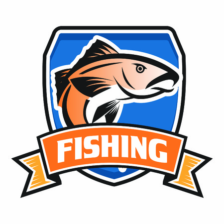 The Full Fly-In Experience: Gear, Guides, and Getting There