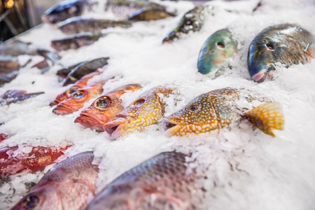 How to Use Electronics Effectively in Cold Weather Fishing