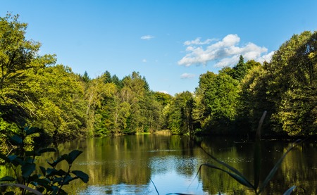 Lake and River Fishing in Glacier National Park: Tips and Techniques