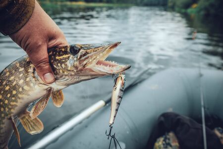 Best Fishing Rods for Catfish: Power and Performance You Can Rely On