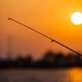 What Every RVer Needs to Know About Fishing in the Florida Keys
