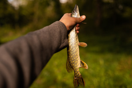 Best Practices for Reviving Fish Before Release