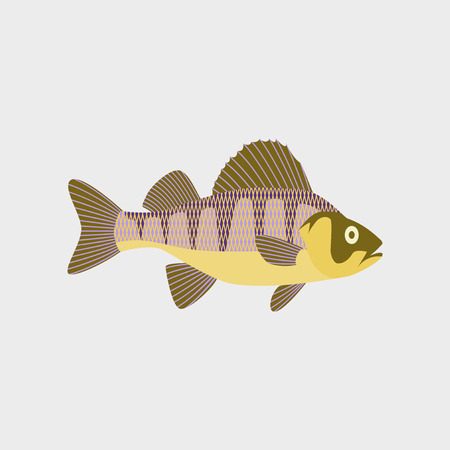 Locating Fish: Reading the Ice Like a Local