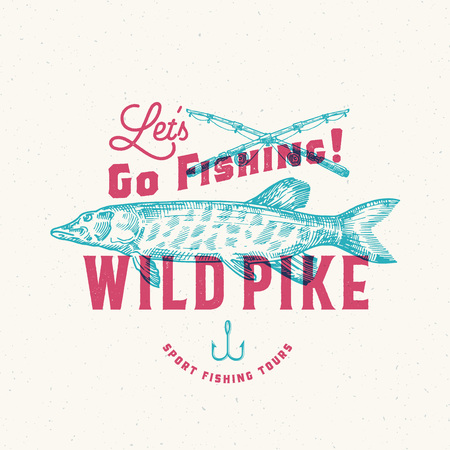 RV Camping Essentials: Park Amenities and Site Features