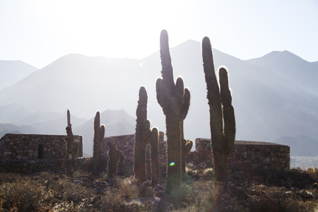 Exploring New Mexico’s Best Trout Streams: High Country Gems & Desert Surprises